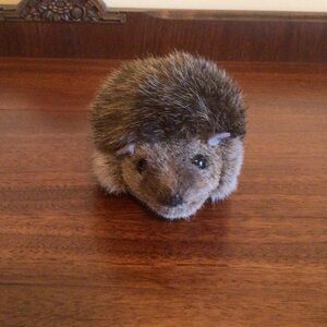 Kosen Hedgehog